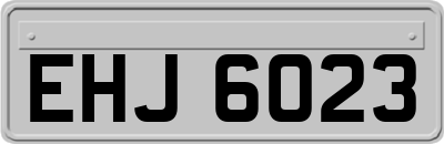 EHJ6023