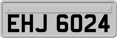 EHJ6024