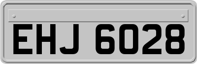 EHJ6028