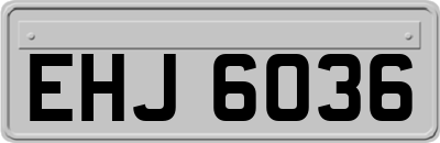 EHJ6036