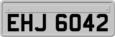EHJ6042