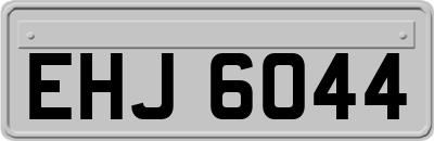 EHJ6044