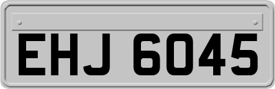 EHJ6045