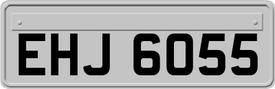 EHJ6055