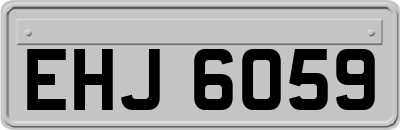 EHJ6059