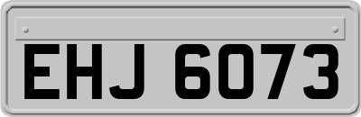 EHJ6073
