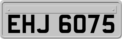 EHJ6075