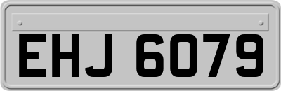 EHJ6079