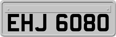 EHJ6080