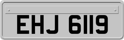 EHJ6119