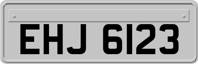 EHJ6123