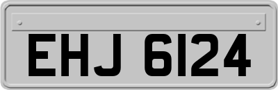 EHJ6124