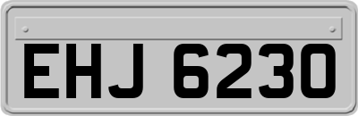 EHJ6230