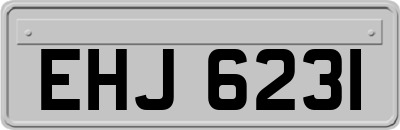 EHJ6231