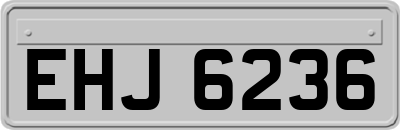 EHJ6236