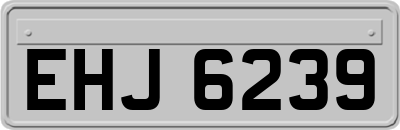 EHJ6239