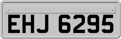 EHJ6295