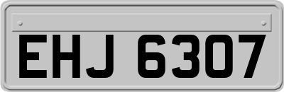 EHJ6307