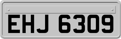 EHJ6309