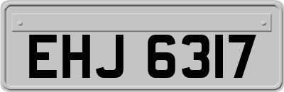 EHJ6317