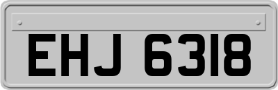 EHJ6318