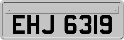 EHJ6319