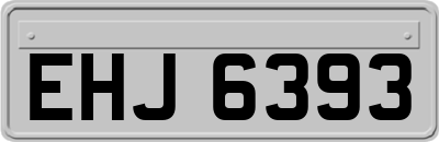 EHJ6393