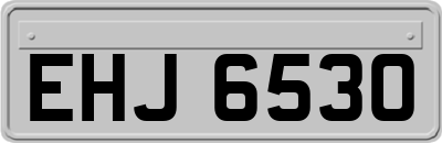EHJ6530