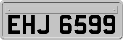 EHJ6599