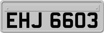 EHJ6603