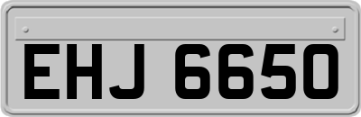EHJ6650