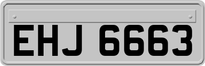 EHJ6663