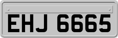 EHJ6665
