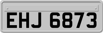 EHJ6873