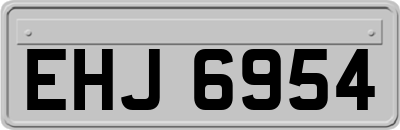 EHJ6954