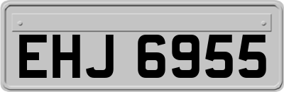 EHJ6955