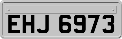 EHJ6973