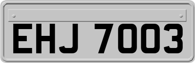 EHJ7003