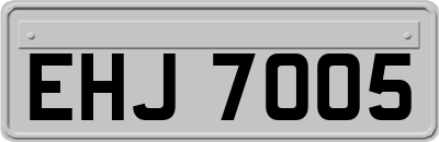 EHJ7005