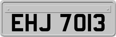 EHJ7013