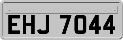EHJ7044