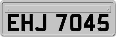 EHJ7045