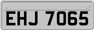 EHJ7065
