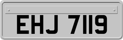 EHJ7119