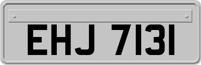 EHJ7131