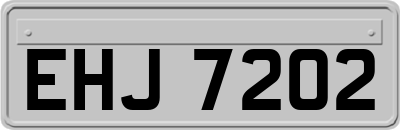 EHJ7202