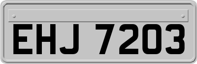 EHJ7203