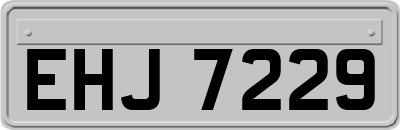 EHJ7229