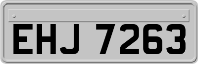 EHJ7263