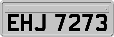EHJ7273